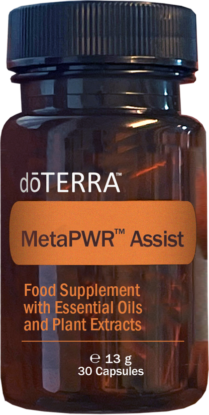 metaPWR Assist